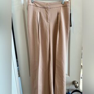 Carole wren nude trousers